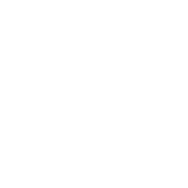 Developer Partner Logo 1
